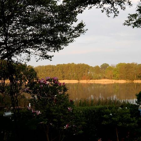 Bungalow Idylle Am See Neuruppin Exterior foto