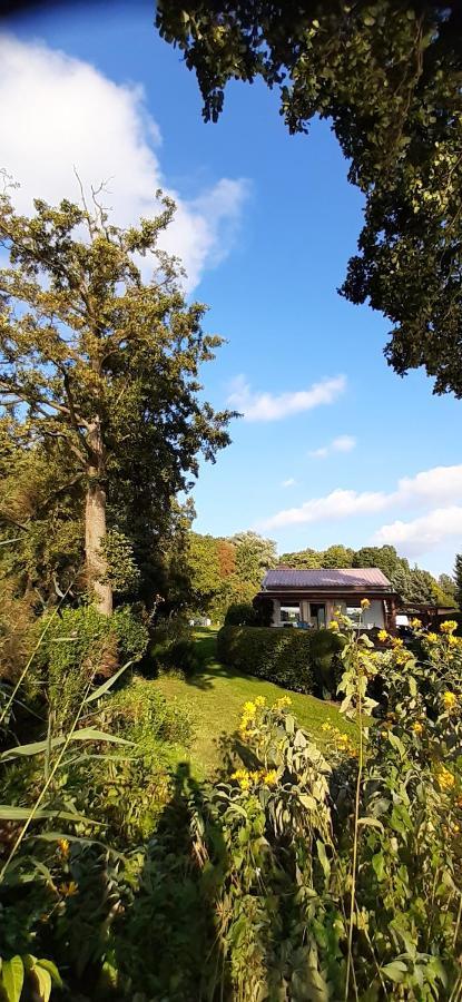 Bungalow Idylle Am See Neuruppin Exterior foto