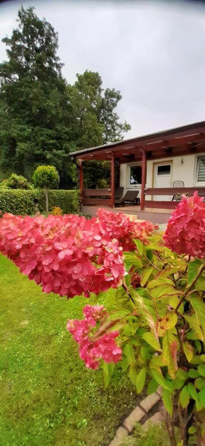 Bungalow Idylle Am See Neuruppin Exterior foto